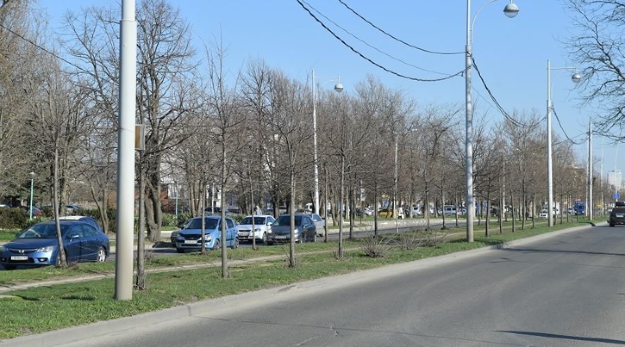  &copy;&nbsp;Фото пресс-службы администрации Краснодара