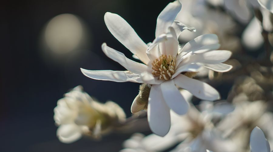  © Фото Ivo Raeber, unsplash.com