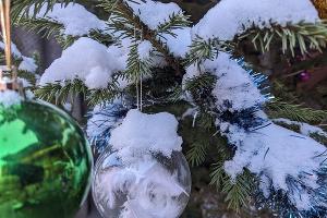  &copy;&nbsp;Фото Александры Прохоренковой-Аксёновой, Юга.ру