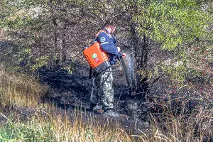  &copy;&nbsp;Фото Sega Black-Sea