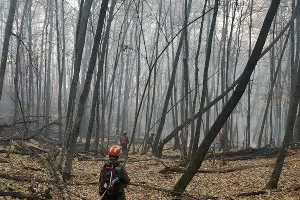  &copy;&nbsp;Фото Алексея Щербины для Юга.ру