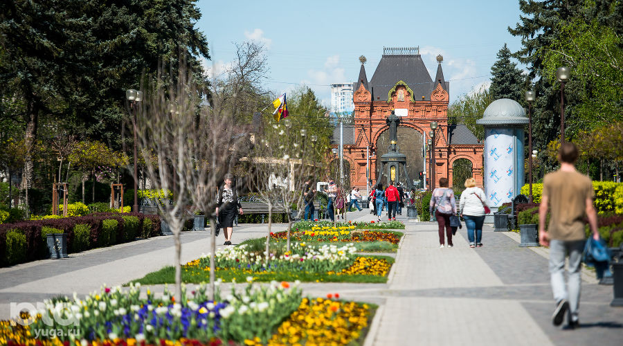  © Фото Елены Синеок, Юга.ру