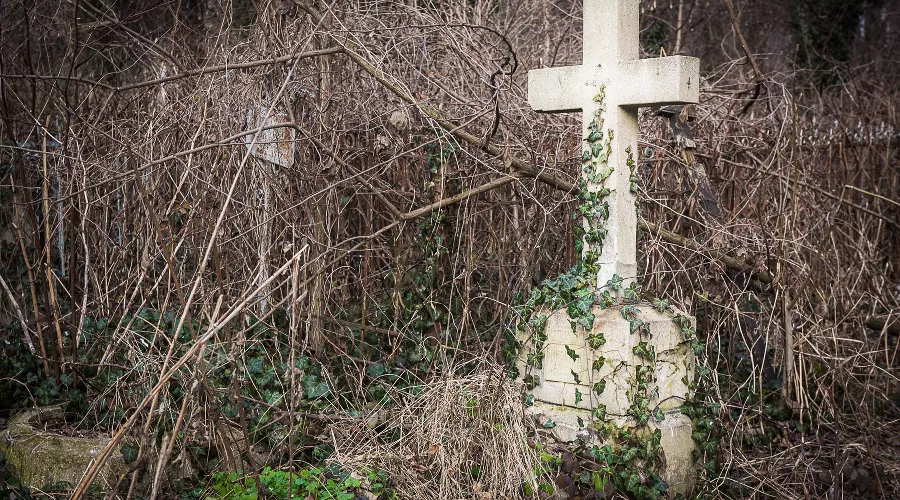  &copy;&nbsp;Фото Елены Синеок, Юга.ру