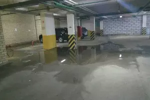  &copy;&nbsp;Фото из общедомового чата жильцов ЖК &laquo;Грин Парк&raquo;