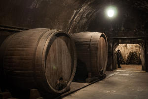 Подвалы завода шампанских вин "Абрау-Дюрсо" © Елена Синеок, ЮГА.ру