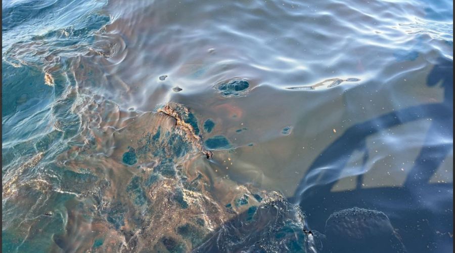  © Скриншот из телеграм-канала Росприроднадзора https://t.me/Rosprirodnadzor_official/2387