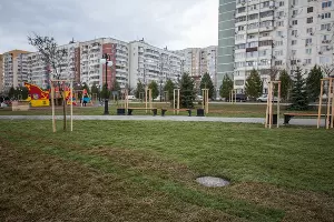 Аллея в честь 80-летия образования Краснодарского края &copy;&nbsp;Фото Елены Синеок, Юга.ру