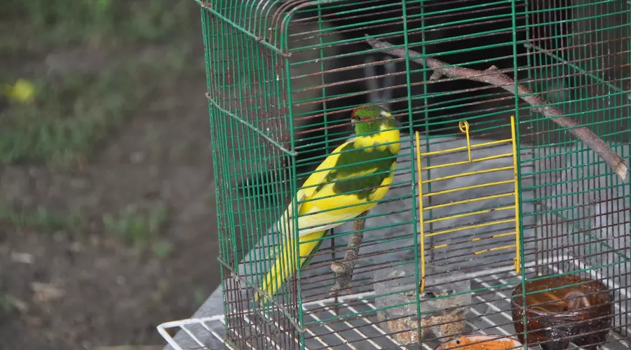  &copy;&nbsp;Фото пресс-службы Пограничного управления ФСБ России по Ростовской области