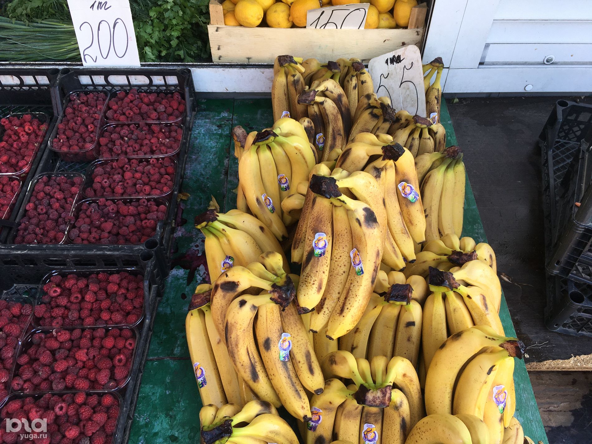 Уцененные овощи и фрукты на Кооперативном рынке 15.8.2023 © Фото Александра Гончаренко, Юга.ру