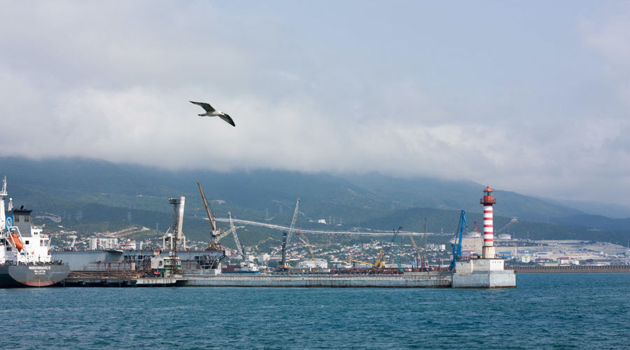  &copy;&nbsp;Фото Даниила Замешаева, unsplash.com