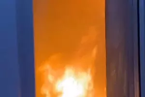  &copy;&nbsp;Скриншот видео из телеграм-канала &laquo;Туподар – Краснодар&raquo;, t.me/typodar