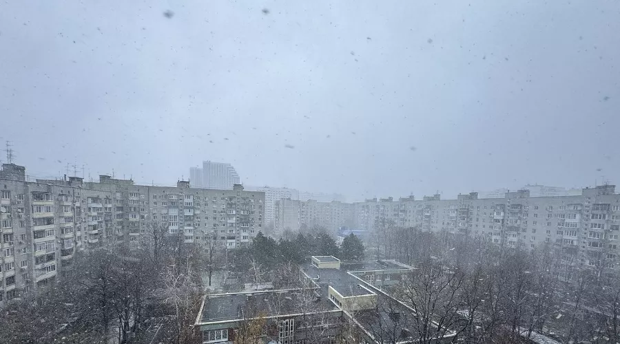  &copy;&nbsp;Фото Марии Журавлевой, Юга.ру