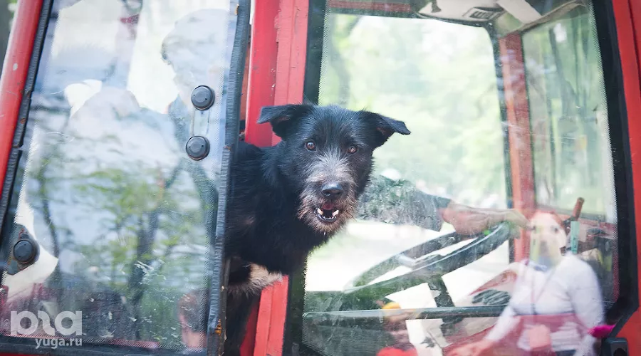  &copy;&nbsp;Михаил Ступин, ЮГА.ру