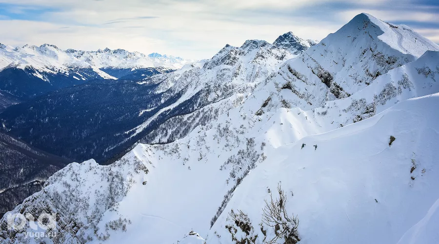  &copy;&nbsp;Фото Елены Синеок, Юга.ру