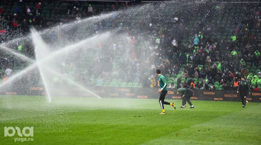  &copy;&nbsp;Фото Елены Синеок, Юга.ру