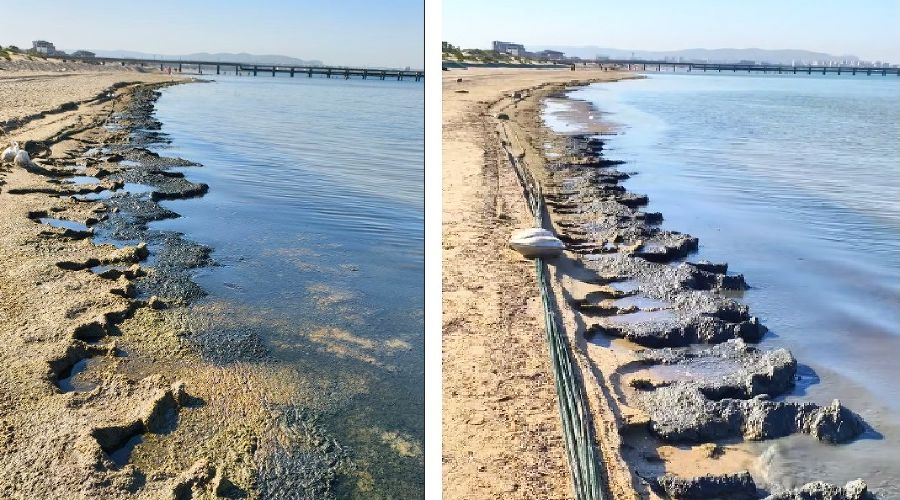  © Коллаж из скриншотов фото из телеграм-канала «МАКОВОЗОВЫ»