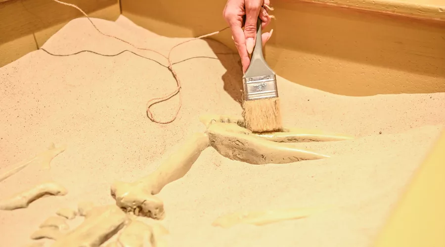  &copy;&nbsp;Фото пресс-службы курорта &laquo;Роза Хутор&raquo;