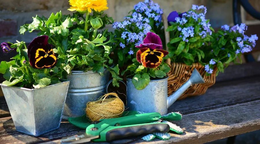  &copy;&nbsp;Фото pixabay.com