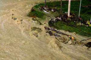  &copy;&nbsp;Фото Владислава Щеколдина, Юга.ру