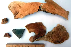 Находки с селища &laquo;Карасунский кут&raquo; &copy;&nbsp;Фото Андрея Баранюка