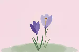  &copy;&nbsp;Фото freepik, сайт freepik.com