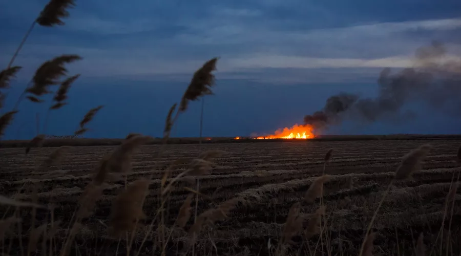  &copy;&nbsp;Фото Елены Синеок, Юга.ру