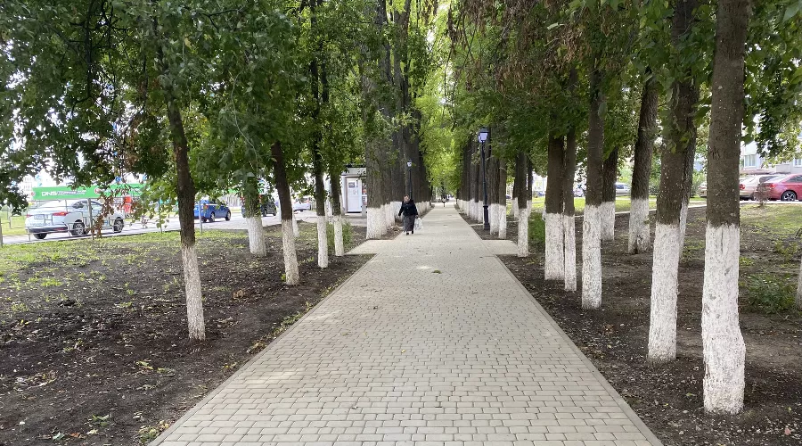  &copy;&nbsp;Фото Влады Мандрыка, Юга.ру