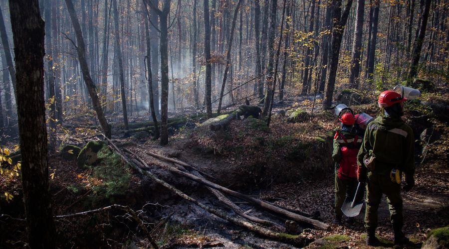  © Фото со страницы vk.com/dobrofire