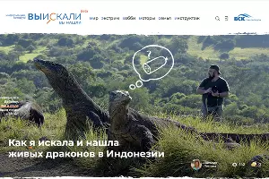  &copy;&nbsp;Скриншот страницы сайта vskali.ru