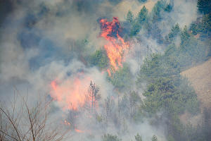 Пожар в Эльбрусском лесничестве © Фото Жамала Хаджиева, ГУ МЧС по КБР
