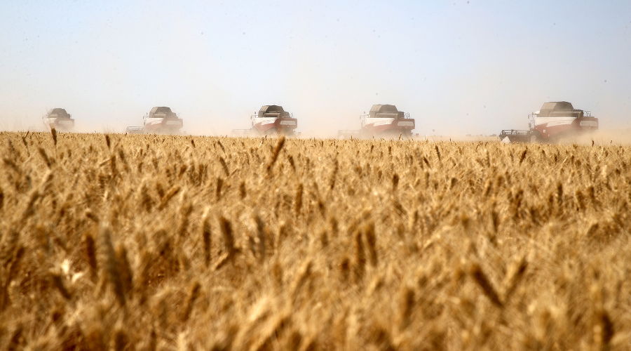  © Фото пресс-службы правительства Ростовской области