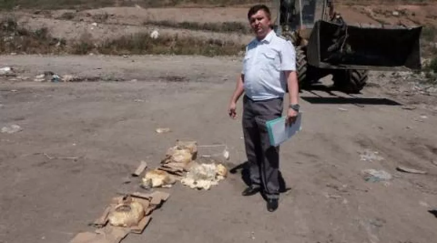  &copy;&nbsp;Фото пресс-службы Управления Россельхознадзора по Ростовской, Волгоградской и Астраханской областям и Республике Калмыкия