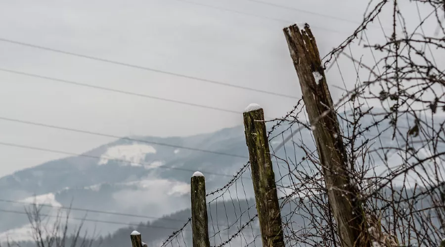 Граница &copy;&nbsp;Фото wirestock, freepik.com