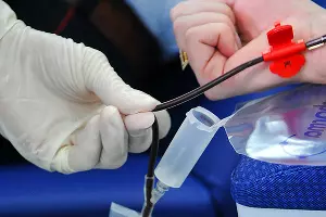  &copy;&nbsp;Елена Синеок, ЮГА.ру