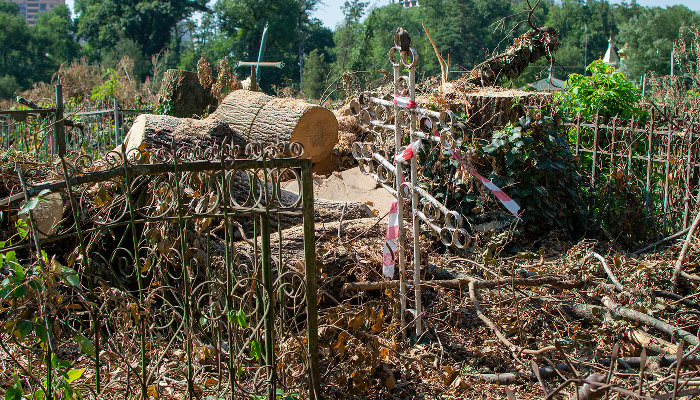 Как рубят деревья и рушат надгробия на Всесвятском кладбище Краснодара