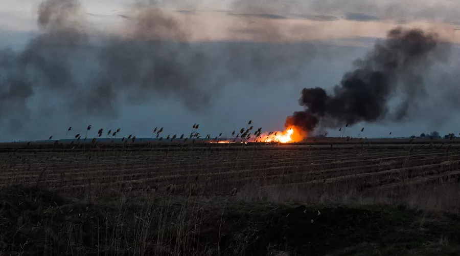  &copy;&nbsp;Фото Елены Синеок, Юга.ру