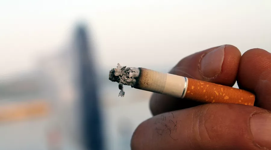  &copy;&nbsp;Фото с сайта pixabay.com