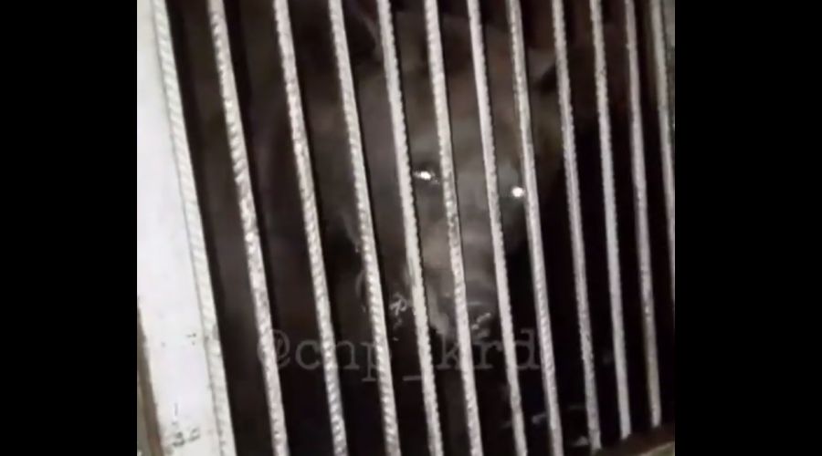  © Скриншот из видео youtu.be/y3vVmUku-UI