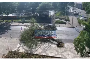 Упавшее дерево на улице Рашпилевской, 8 июля 2023 г. &copy;&nbsp;Скриншот видео в телеграм-канале &laquo;Россия. Кубань. Новости&raquo;, T.me/russiakuban
