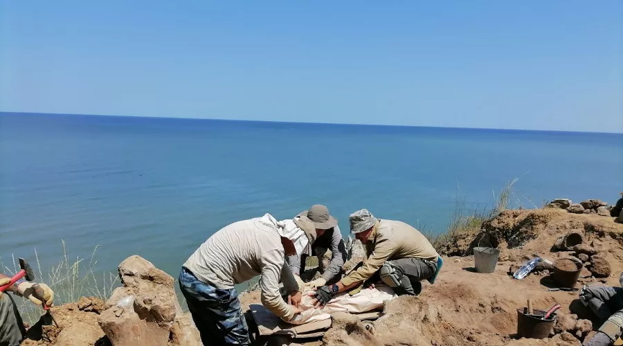 Раскопки на Таманском полуострове &copy;&nbsp;Скриншот фото из телеграм-канала ЮНЦ РАН