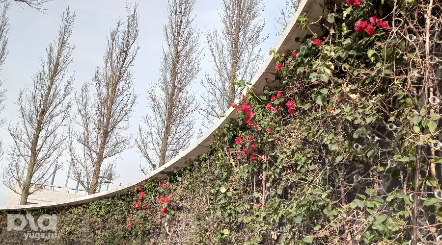  &copy;&nbsp;фото Андрея Малёваного