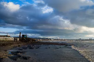  &copy;&nbsp;Фото Валерия Скурыдина