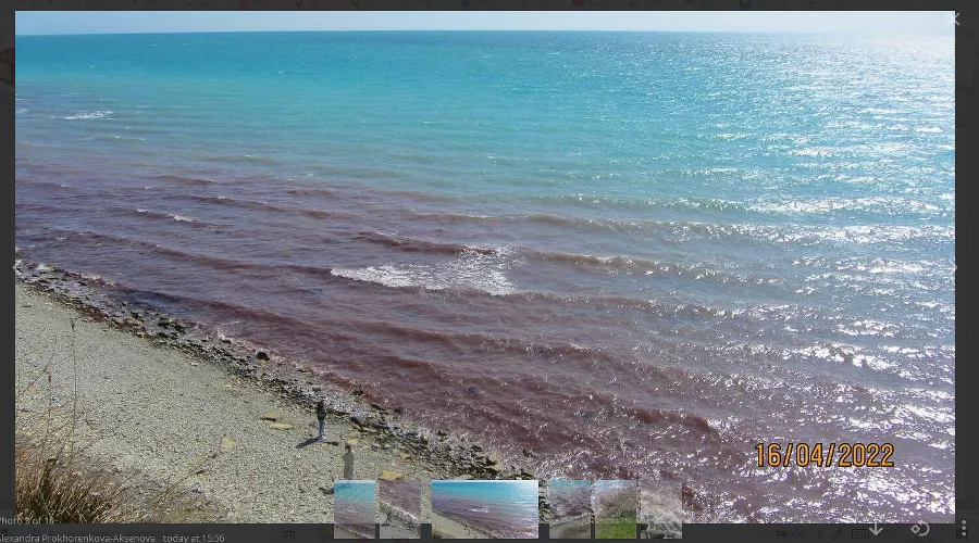  &copy;&nbsp;Скриншот публикации в телеграм-канале Anapa, https://t.me/anapa_post