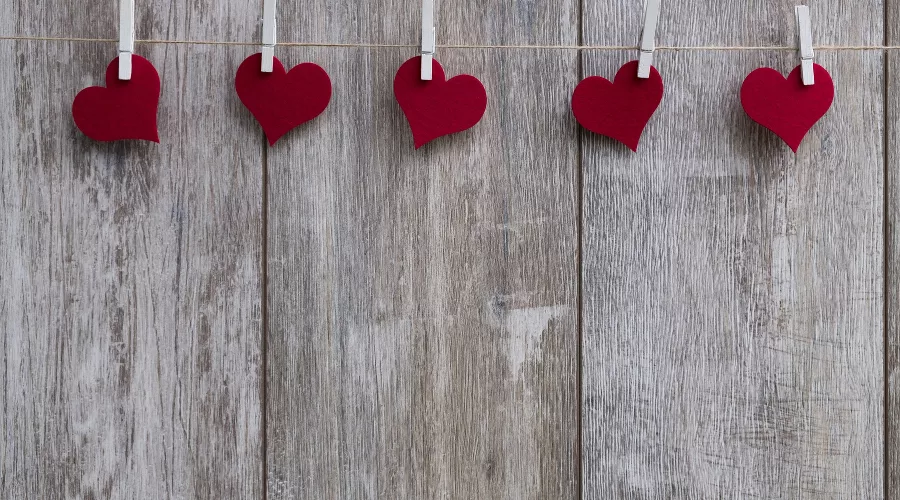  &copy;&nbsp;Фото Bruno Germany, pixabay.com