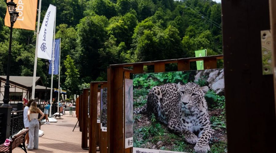  &copy;&nbsp;Фото пресс-службы курорта &laquo;Роза Хутор&raquo;