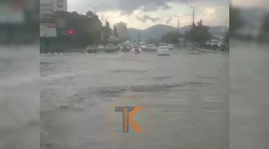 &copy;&nbsp;Скриншот видео из телеграм-канала t.me/tipichkras