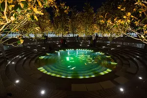 Парк «Краснодар»  с новогодней подсветкой &copy;&nbsp;Фото Елены Синеок, Юга.ру