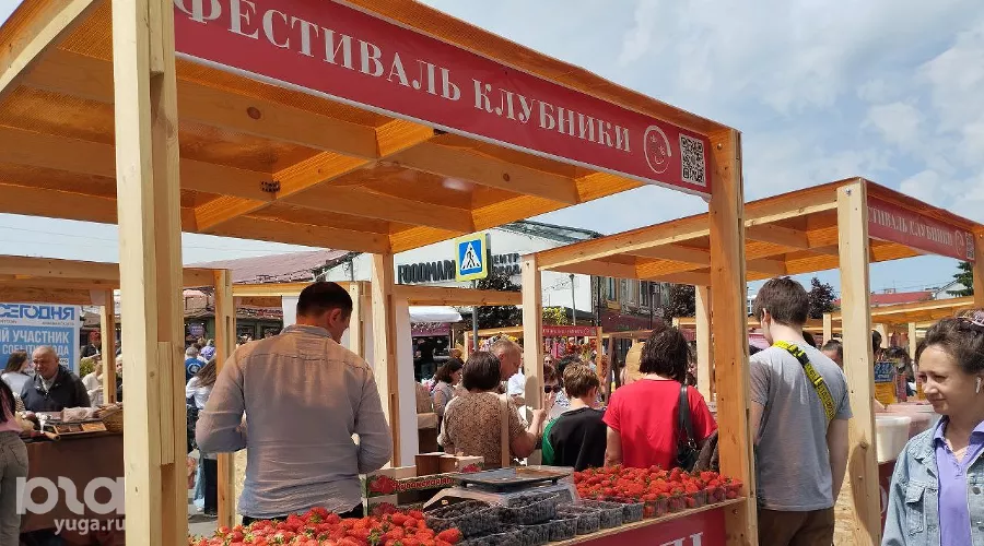 Фестиваль клубники в Краснодаре &copy;&nbsp;Фото Иолины Грибковой, Юга.ру