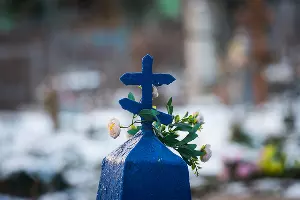  &copy;&nbsp;Фото Елены Синеок, Юга.ру