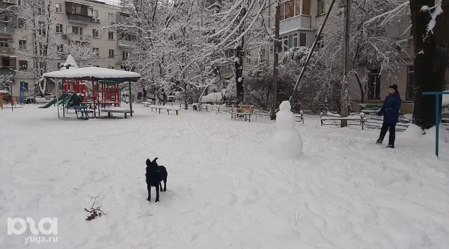  &copy;&nbsp;Фото Анны Петровой, Юга.ру